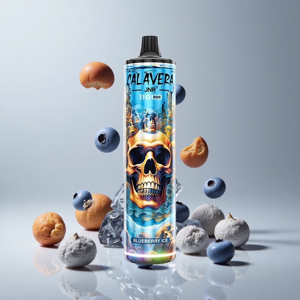 JNR Calavera 11000 Puffs Vape Desechable Arándano Helado 21ml Capacidad de E-Líquido vape wholesale Peru